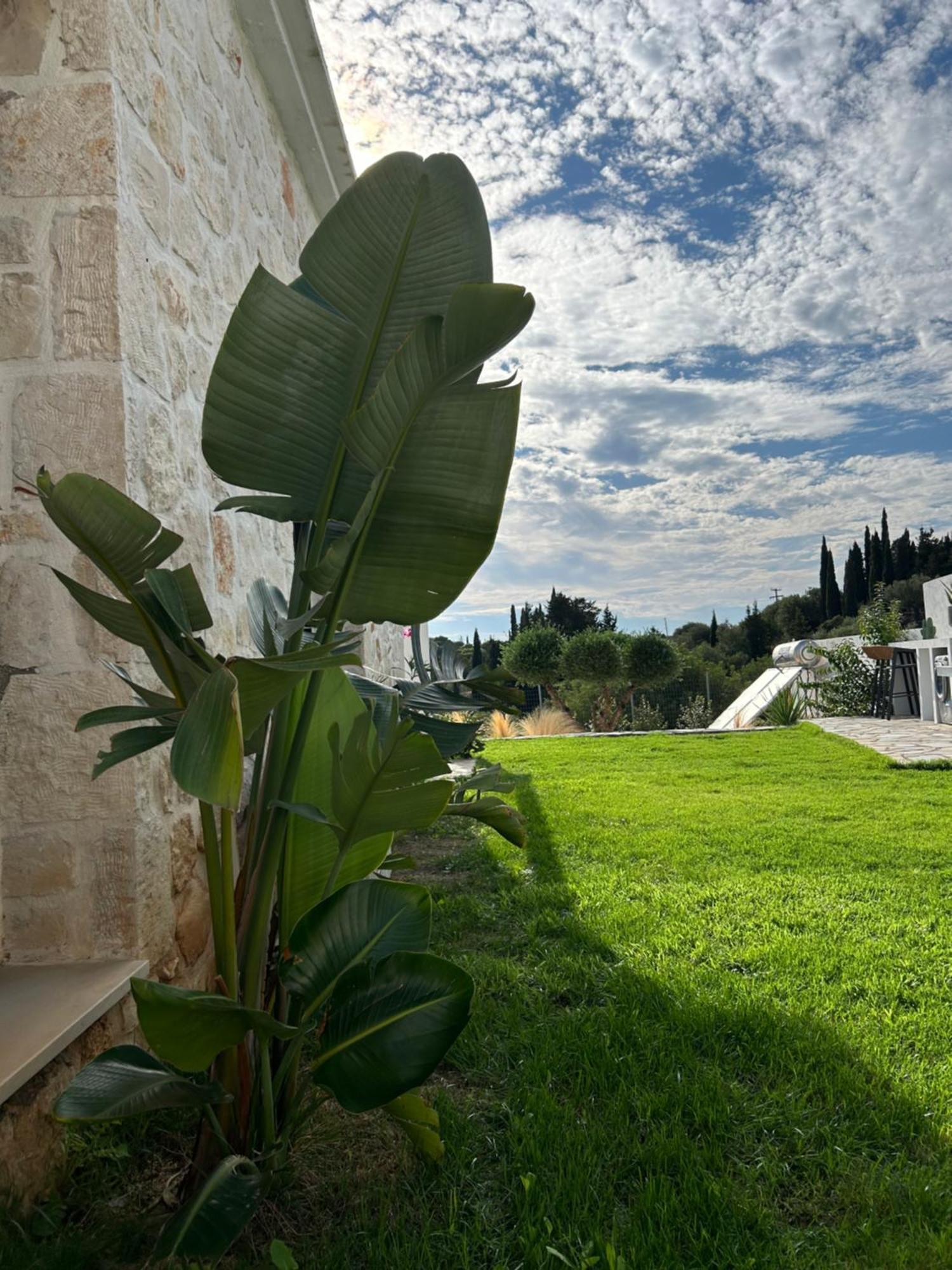 Luz Blanca Villa